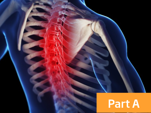 Musculoskeletal Physiotherapy Level 1 Thoracic Spine and Rib Cage - Part A